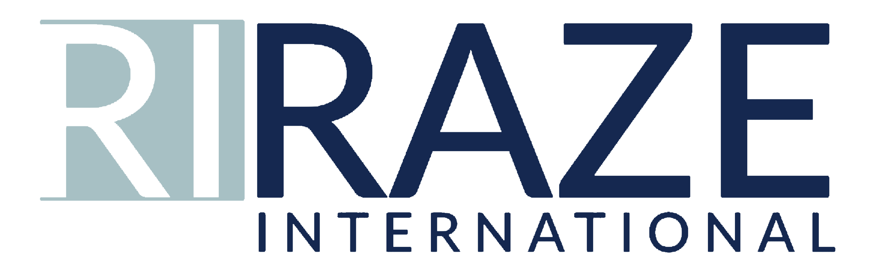 Raze International